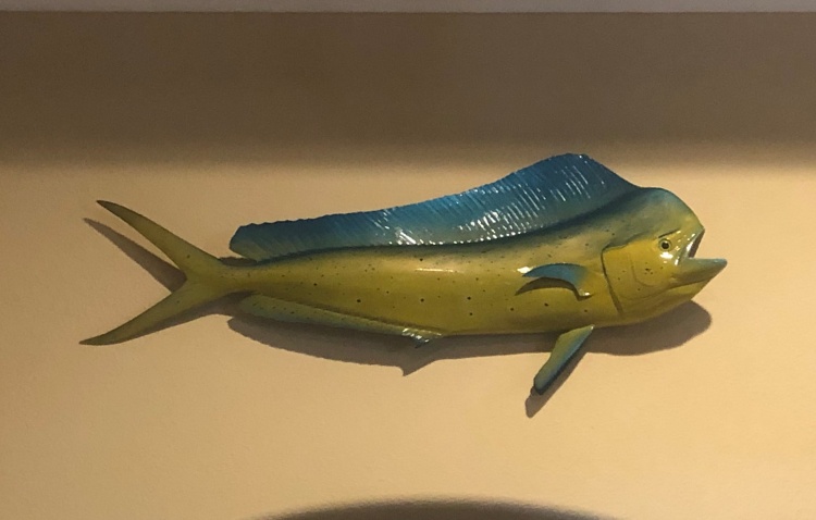 fish mount on the wall