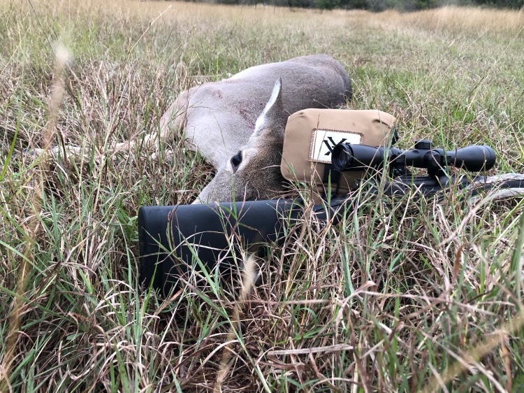 whitetail doe on the ground with a rifle and binoculars